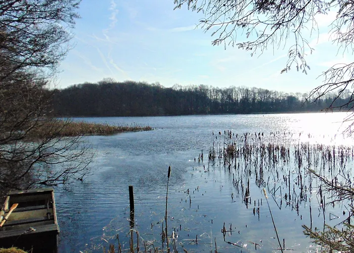 The Tranquil Otter Hotel