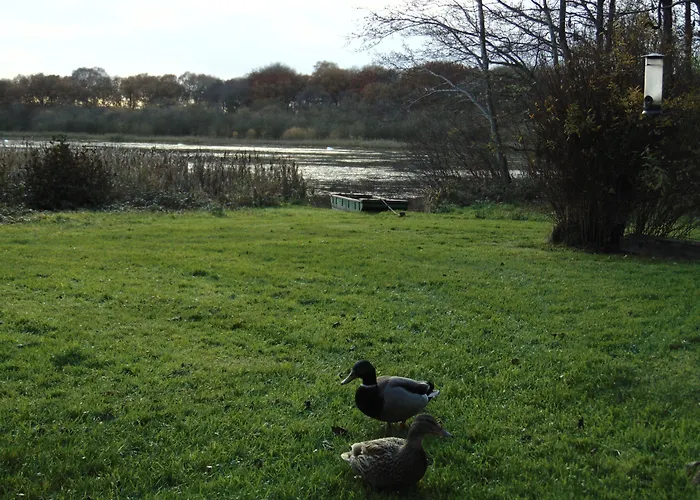 The Tranquil Otter 5*